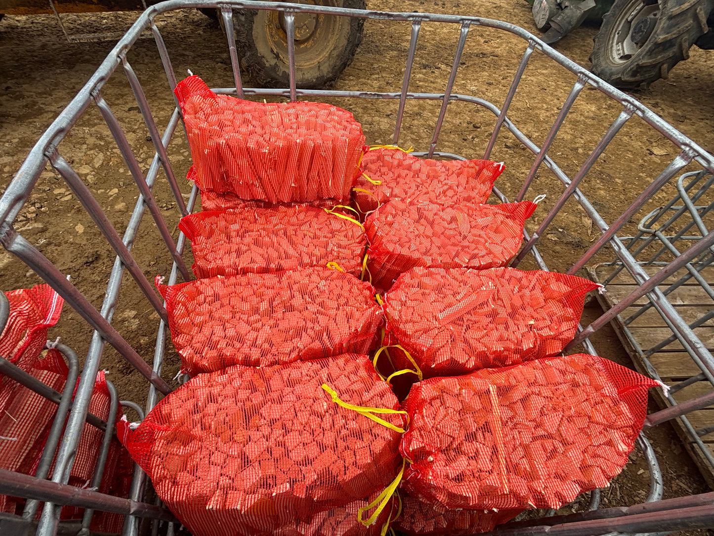 Large Kindling Nets