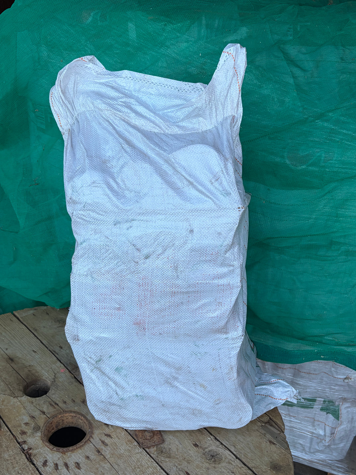 Boot Bag of Kiln Dried Logs